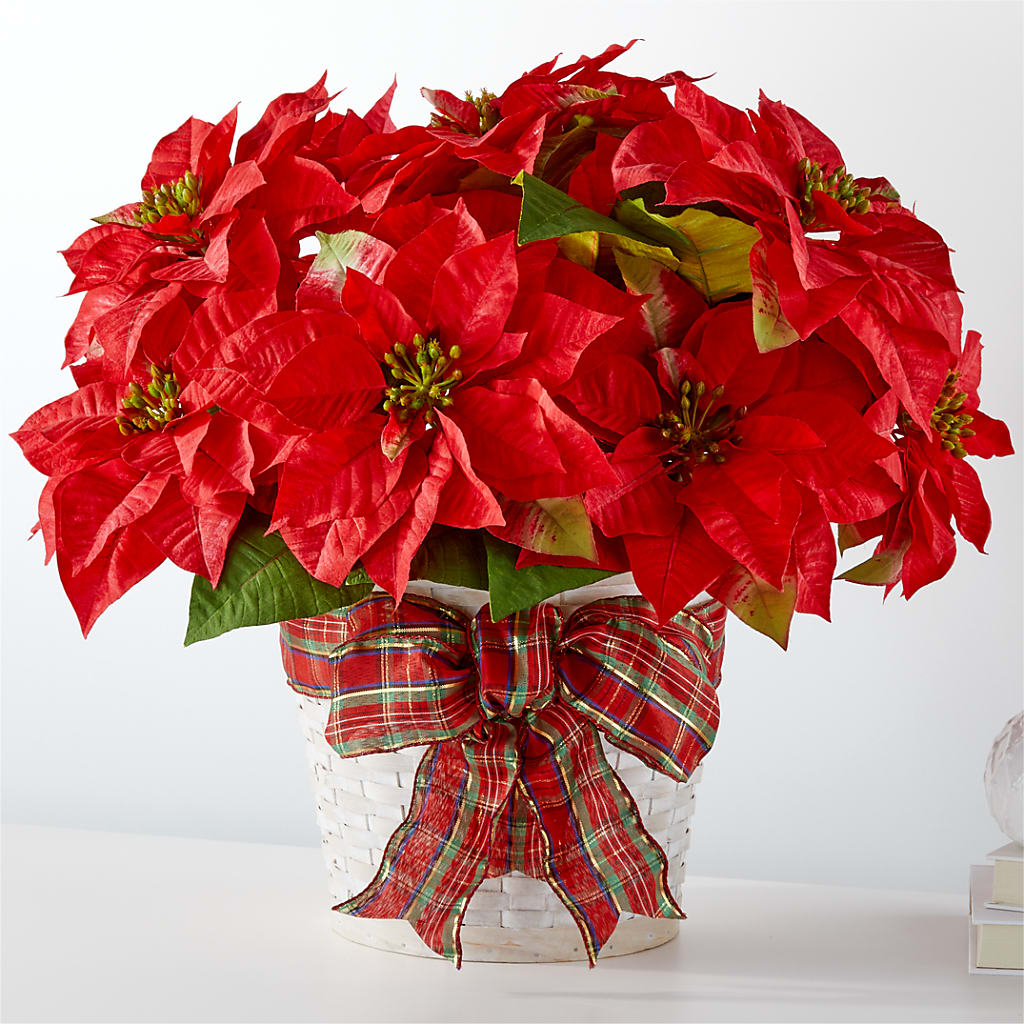 Happiest Holidays Poinsettia – Amour Flowers, Frederick MD