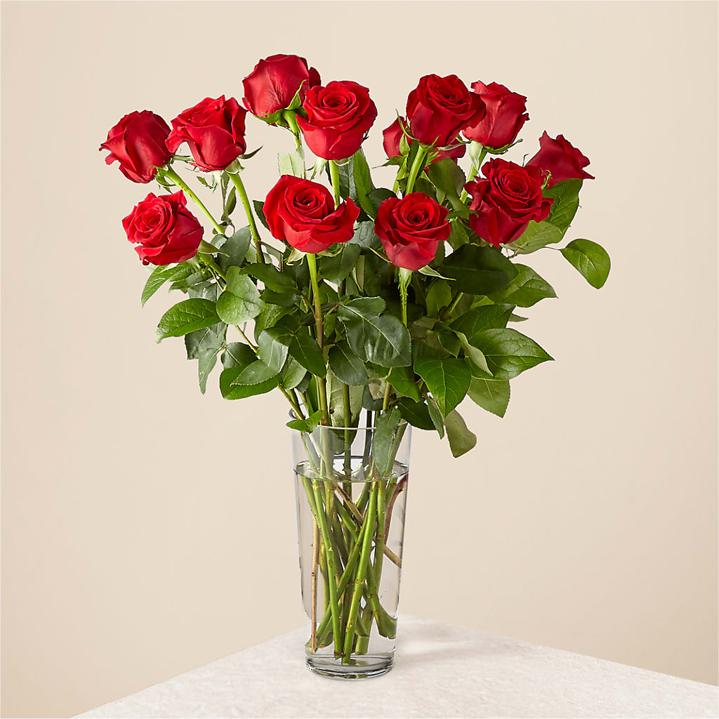 Long Stem Red Rose Bouquet – Amour Flowers, Frederick MD