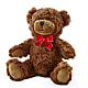 Adorable Plush Bear – Amour Flowers, Frederick MD