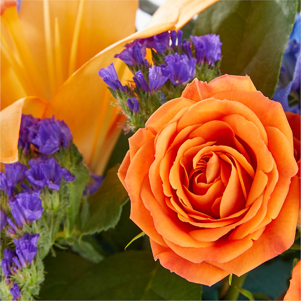 Radiant Citrus Box Bouquet – Amour Flowers, Frederick MD