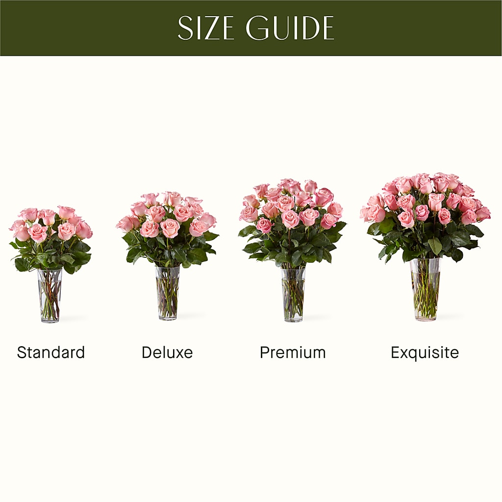 Long Stem Pink Rose Bouquet – Amour Flowers, Frederick MD