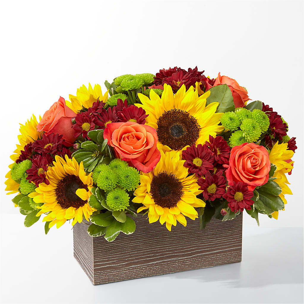 Happy Harvest Garden – Amour Flowers, Frederick MD