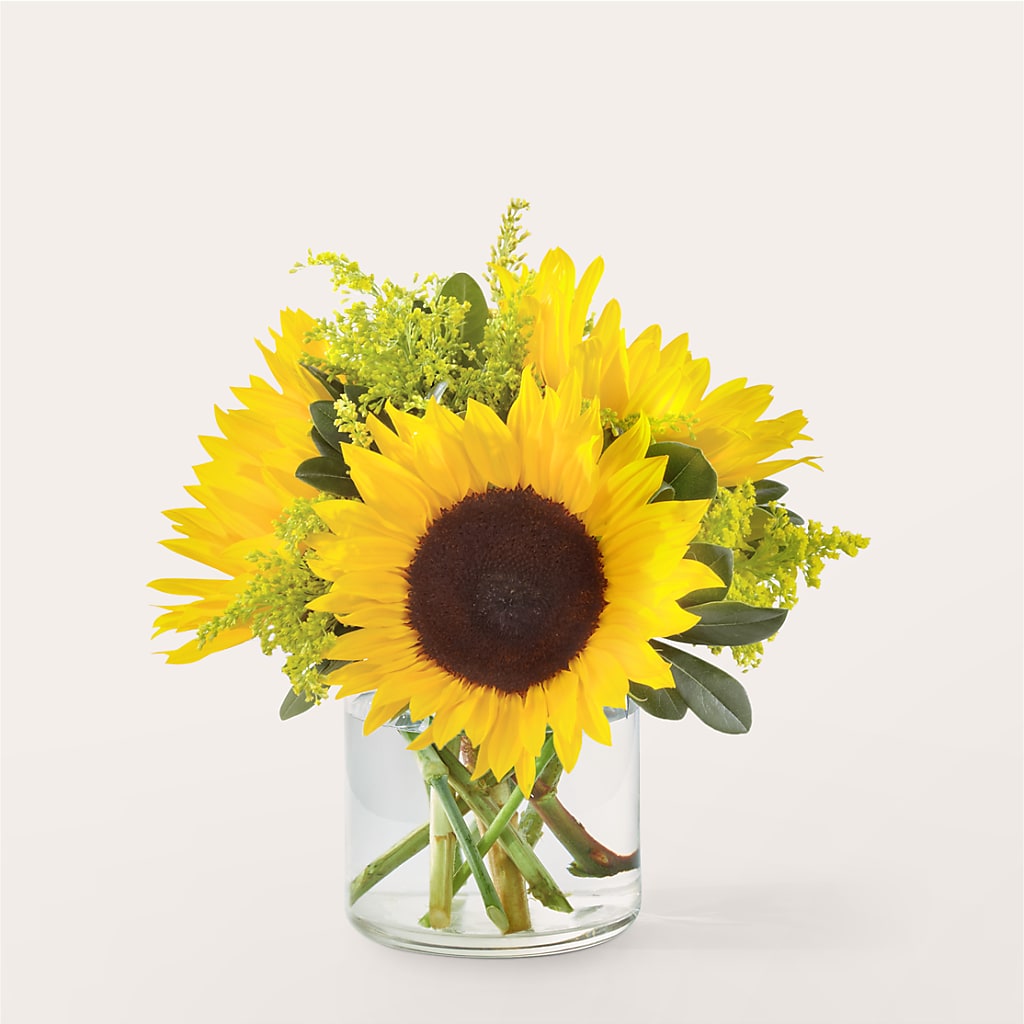 Beaming Sunflower Bouquet – Amour Flowers, Frederick MD