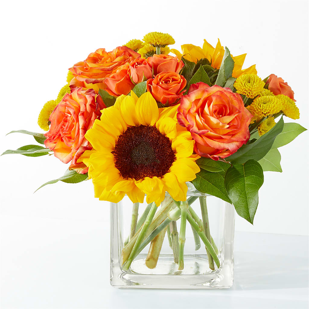 Picnic in the Park Bouquet – Amour Flowers, Frederick MD