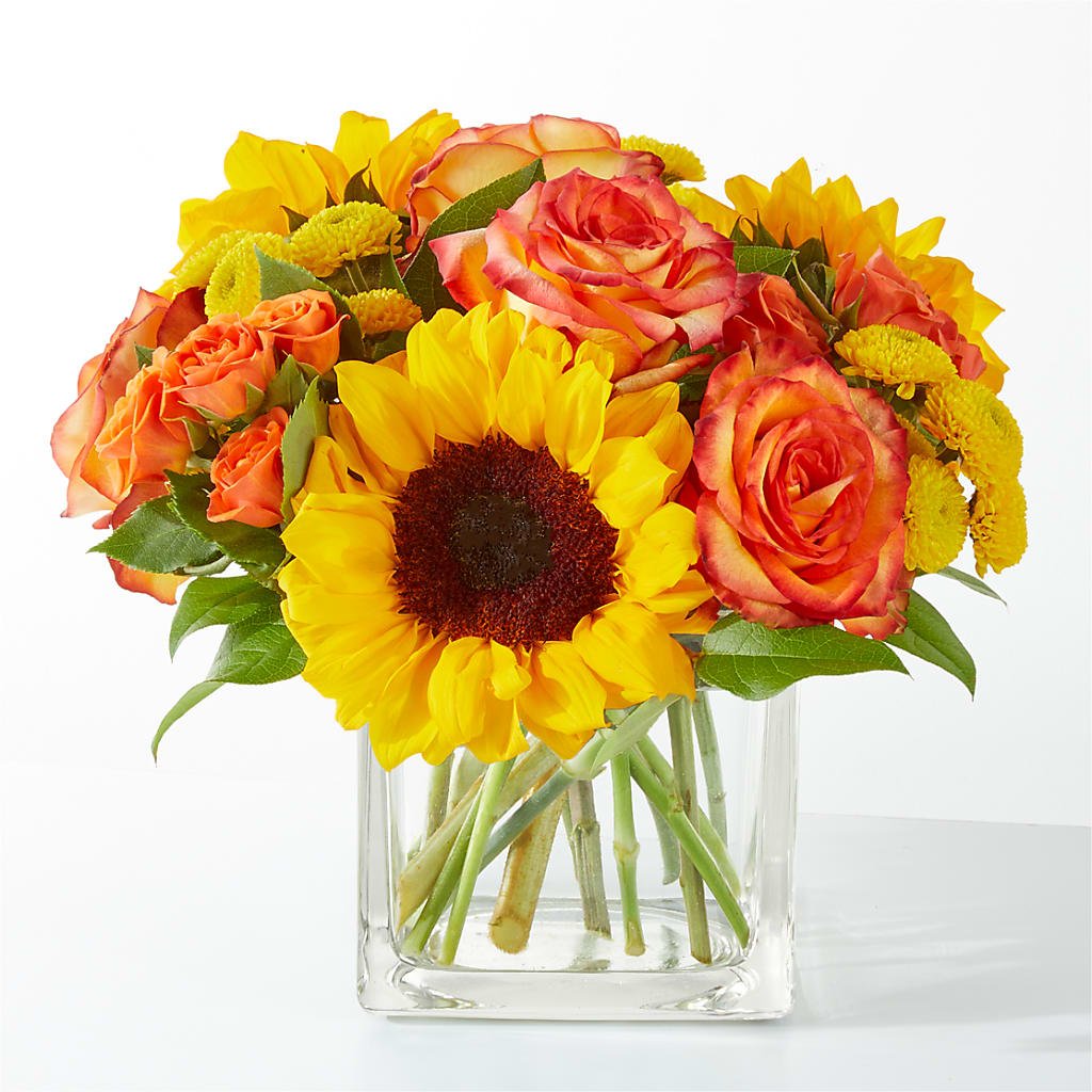 Picnic in the Park Bouquet – Amour Flowers, Frederick MD