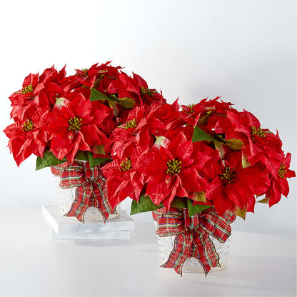 Happiest Holidays Poinsettia Bundle –  Amour Flowers, Frederick MD