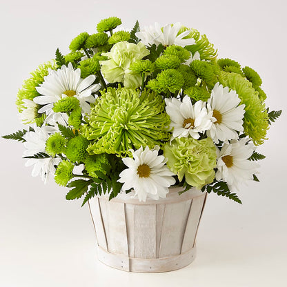 Lucky Charm Basket (Standard) –  Amour Flowers, Frederick MD