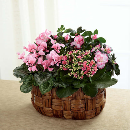 Pink Assortment –  Amour Flowers, Frederick MD
