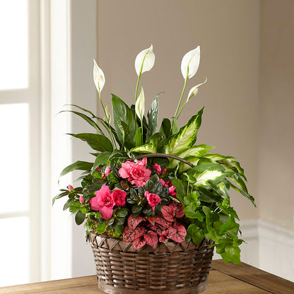 Dream in Pink Dishgarden –  Amour Flowers, Frederick MD