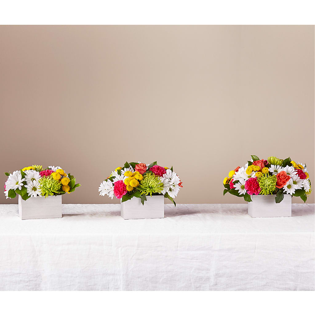 Sorbet Bouquet –  Amour Flowers, Frederick MD