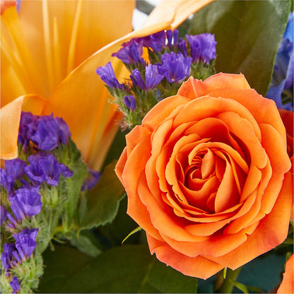 Radiant Citrus Box Bouquet –  Amour Flowers, Frederick MD