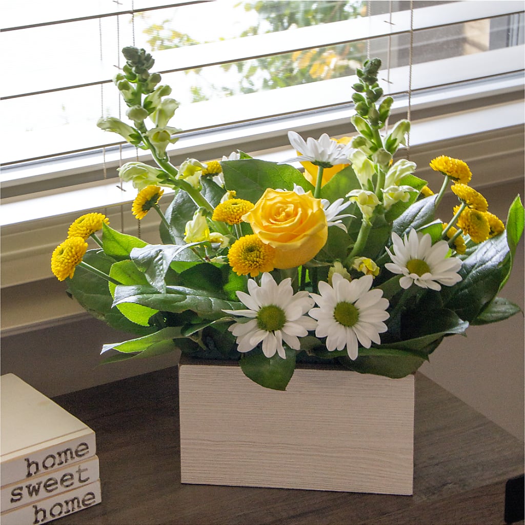 Sun Salutation Box Bouquet –  Amour Flowers, Frederick MD
