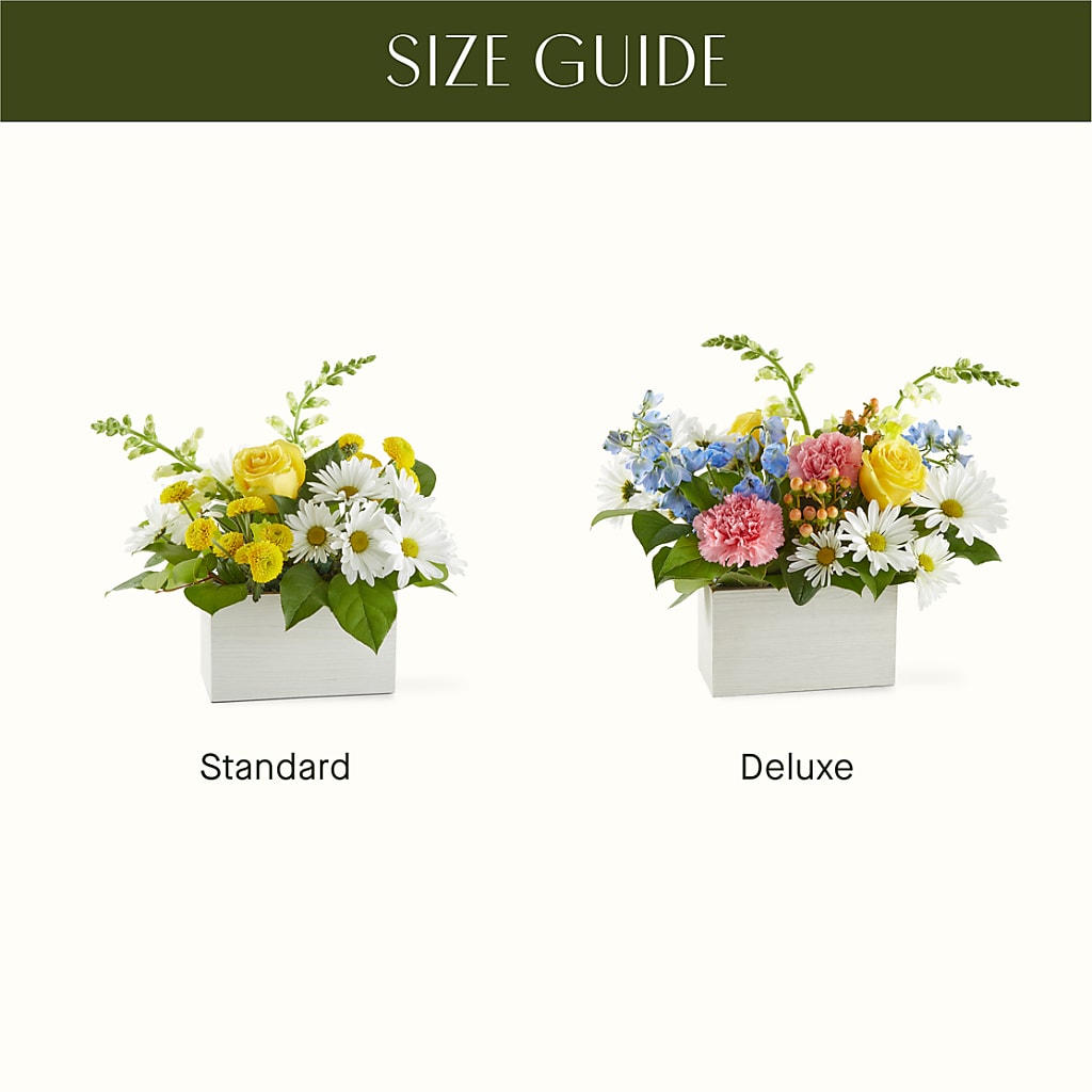 Sun Salutation Box Bouquet –  Amour Flowers, Frederick MD