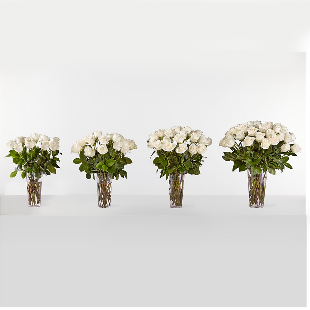 Long Stem White Rose Bouquet –  Amour Flowers, Frederick MD