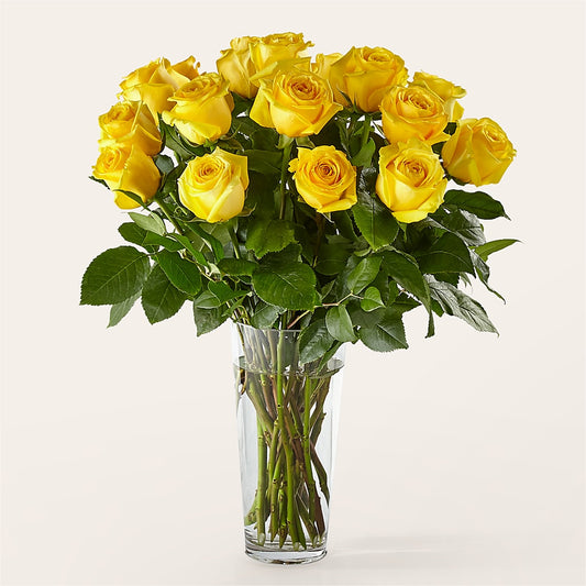 Long Stem Yellow Rose Bouquet –  Amour Flowers, Frederick MD