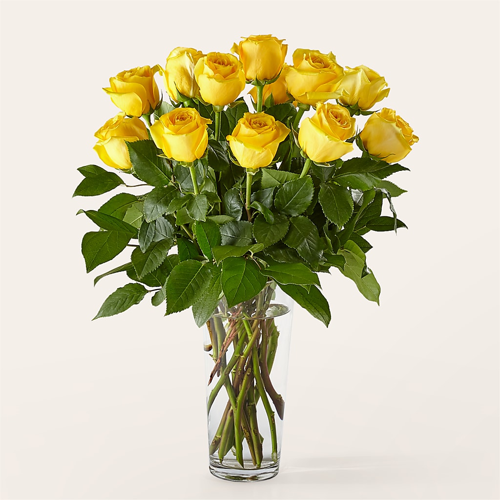 Long Stem Yellow Rose Bouquet –  Amour Flowers, Frederick MD