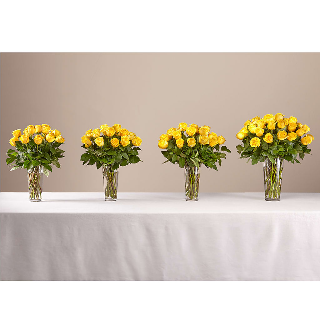 Long Stem Yellow Rose Bouquet –  Amour Flowers, Frederick MD