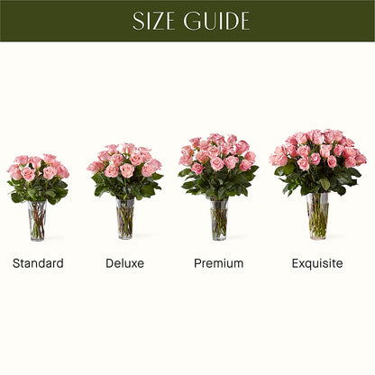 Long Stem Pink Rose Bouquet –  Amour Flowers, Frederick MD