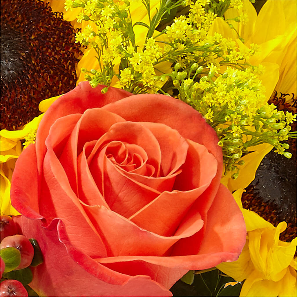 Pick of the Patch Pumpkin Bouquet –  Amour Flowers, Frederick MD