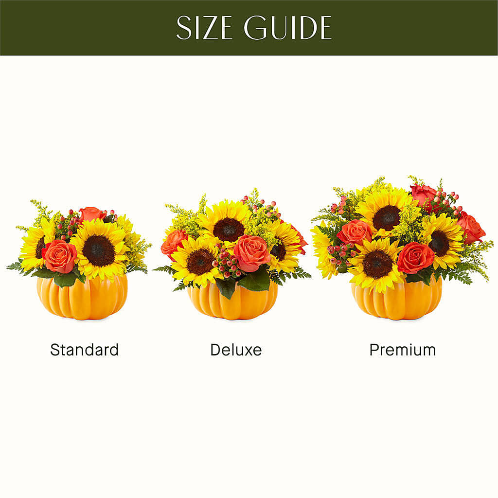Pick of the Patch Pumpkin Bouquet –  Amour Flowers, Frederick MD