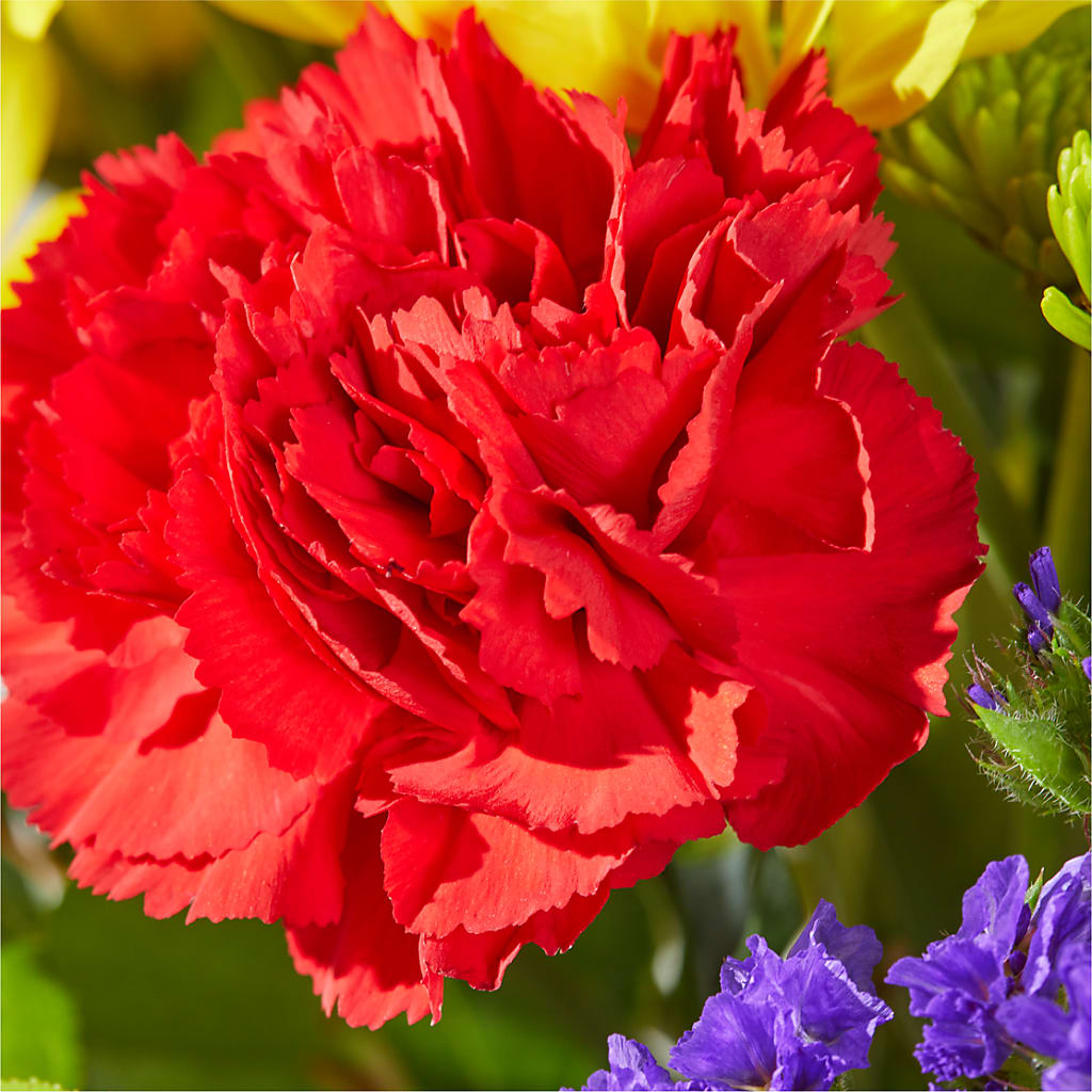 Brighter Days Bouquet –  Amour Flowers, Frederick MD