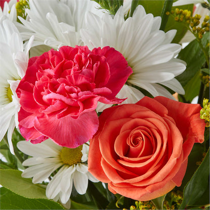 Oopsie Daisy Bouquet –  Amour Flowers, Frederick MD