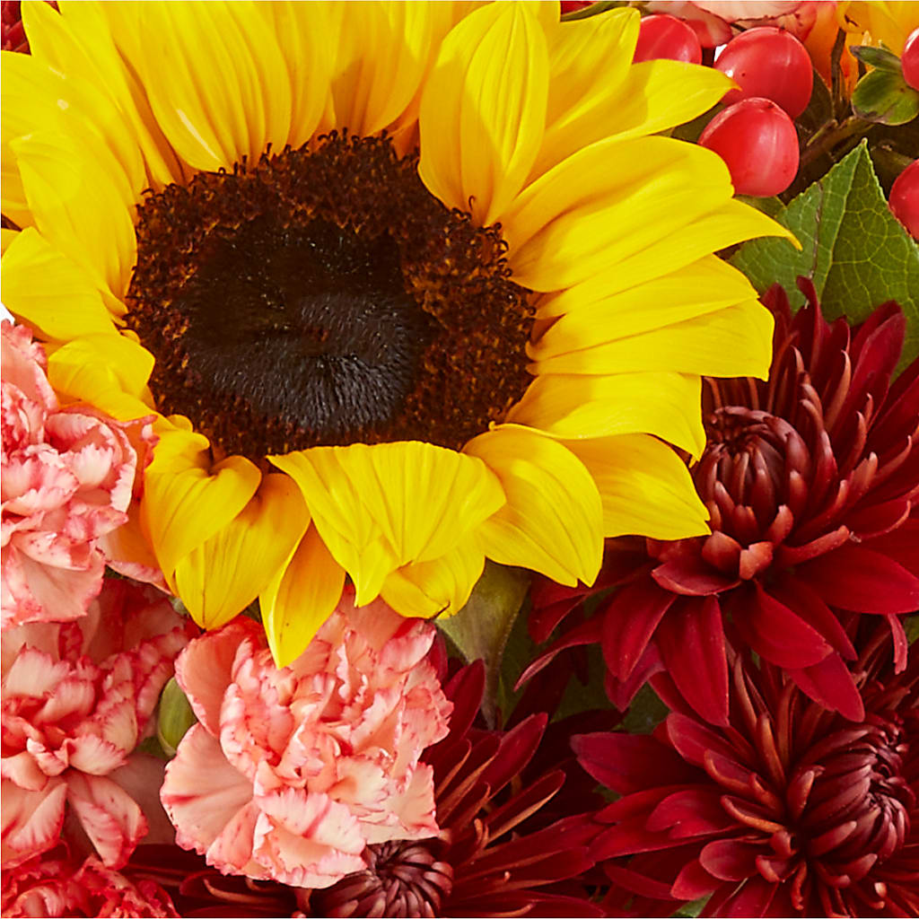 Fresh Cider Bouquet –  Amour Flowers, Frederick MD