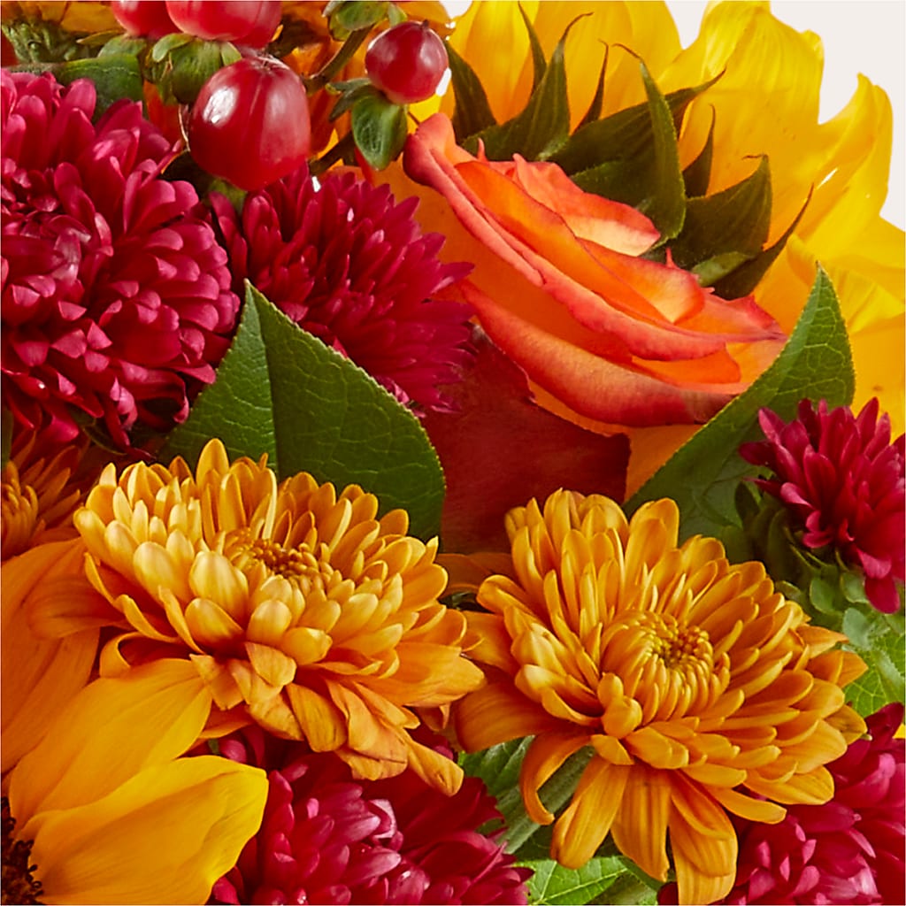 Sweater Season - A Florist Original –  Amour Flowers, Frederick MD