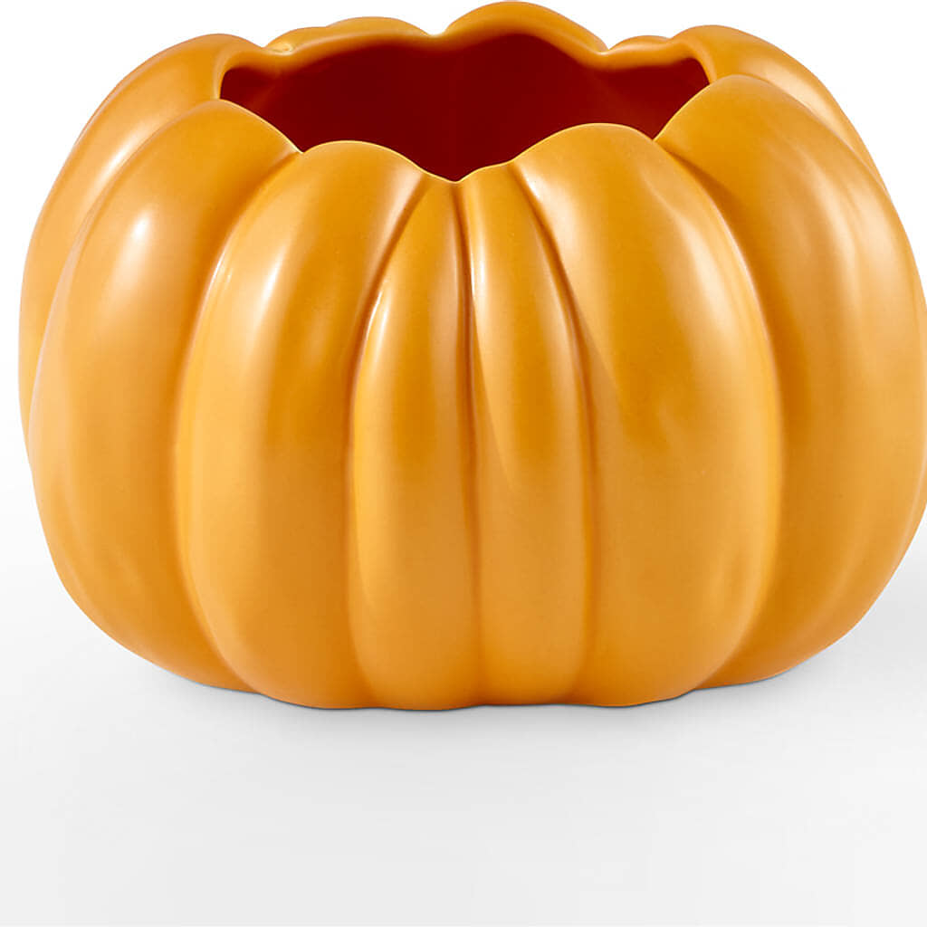 Pick of the Patch Pumpkin Bouquet –  Amour Flowers, Frederick MD