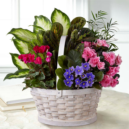 Peaceful Garden Planter –  Amour Flowers, Frederick MD