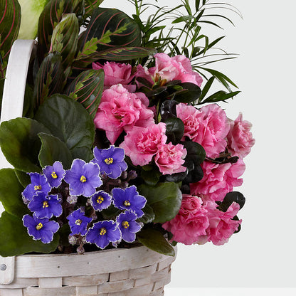 Peaceful Garden Planter –  Amour Flowers, Frederick MD