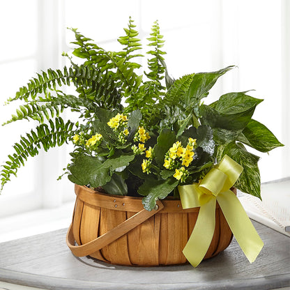 Always Dear Dishgarden –  Amour Flowers, Frederick MD