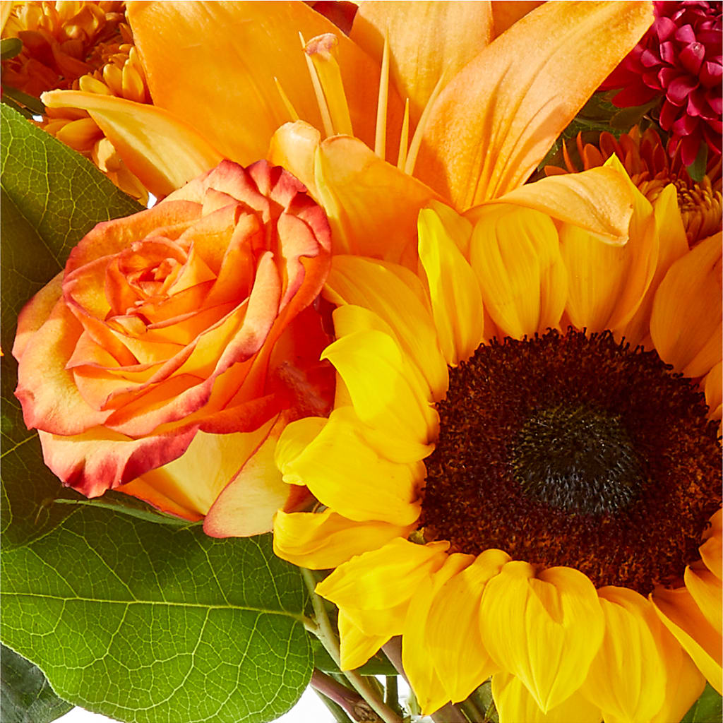 Fall Day Bouquet –  Amour Flowers, Frederick MD