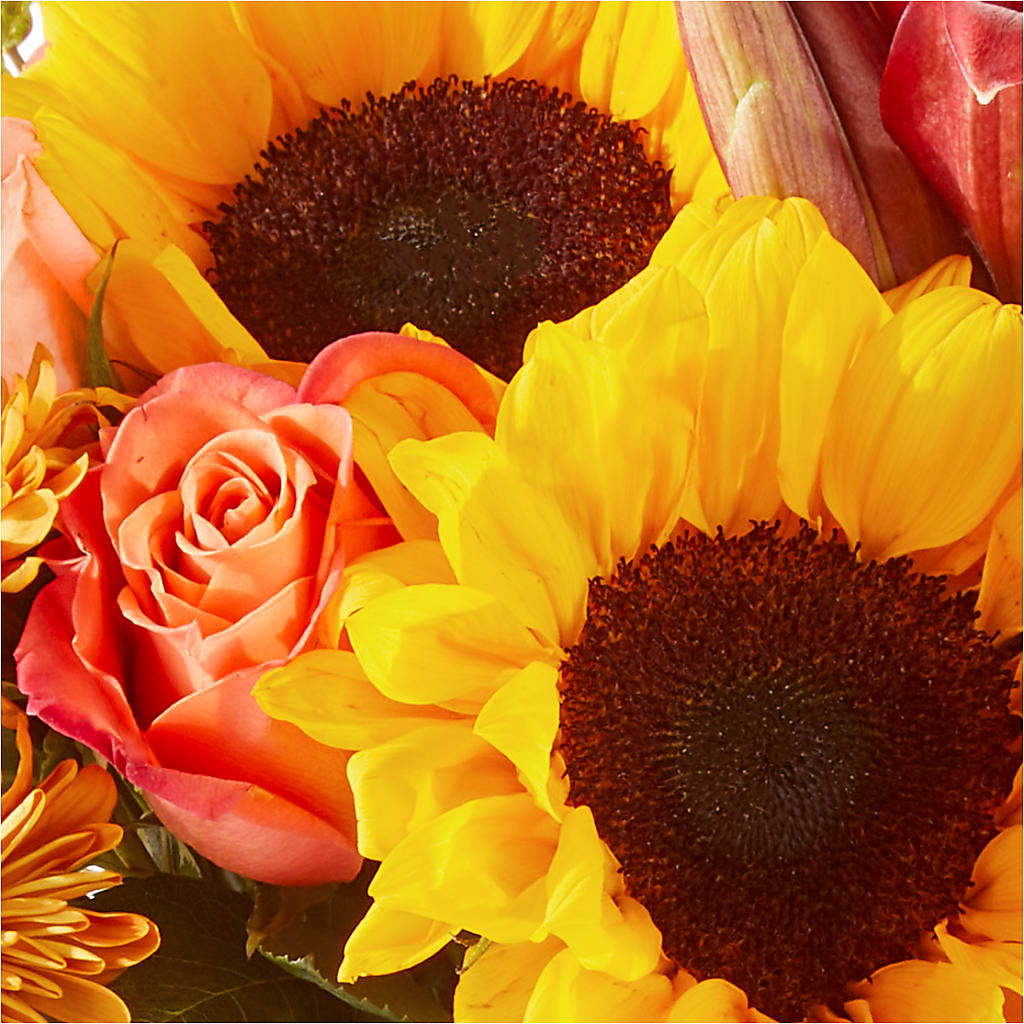Acorn Lane Bouquet –  Amour Flowers, Frederick MD