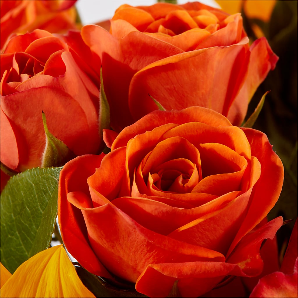 Picnic in the Park Bouquet –  Amour Flowers, Frederick MD