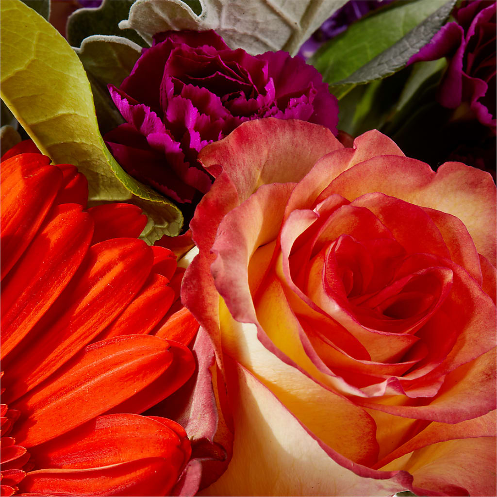 Sangria Bouquet –  Amour Flowers, Frederick MD