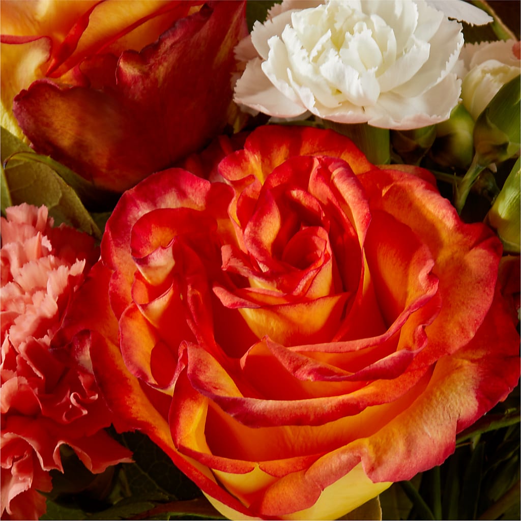Apricot Glow Bouquet –  Amour Flowers, Frederick MD