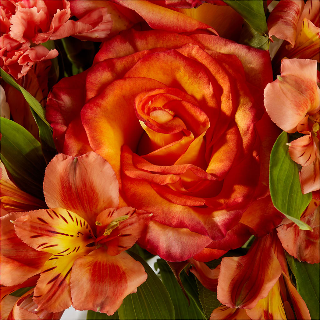 Apricot Glow Bouquet –  Amour Flowers, Frederick MD