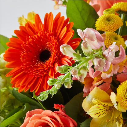 Autumn Sunshine Bouquet –  Amour Flowers, Frederick MD