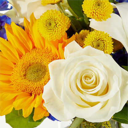 Stargazing Bouquet –  Amour Flowers, Frederick MD