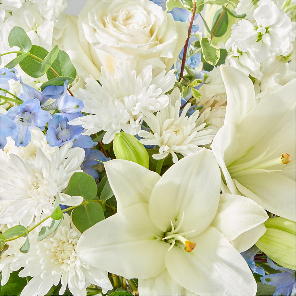 Peace of Mind Bouquet –  Amour Flowers, Frederick MD