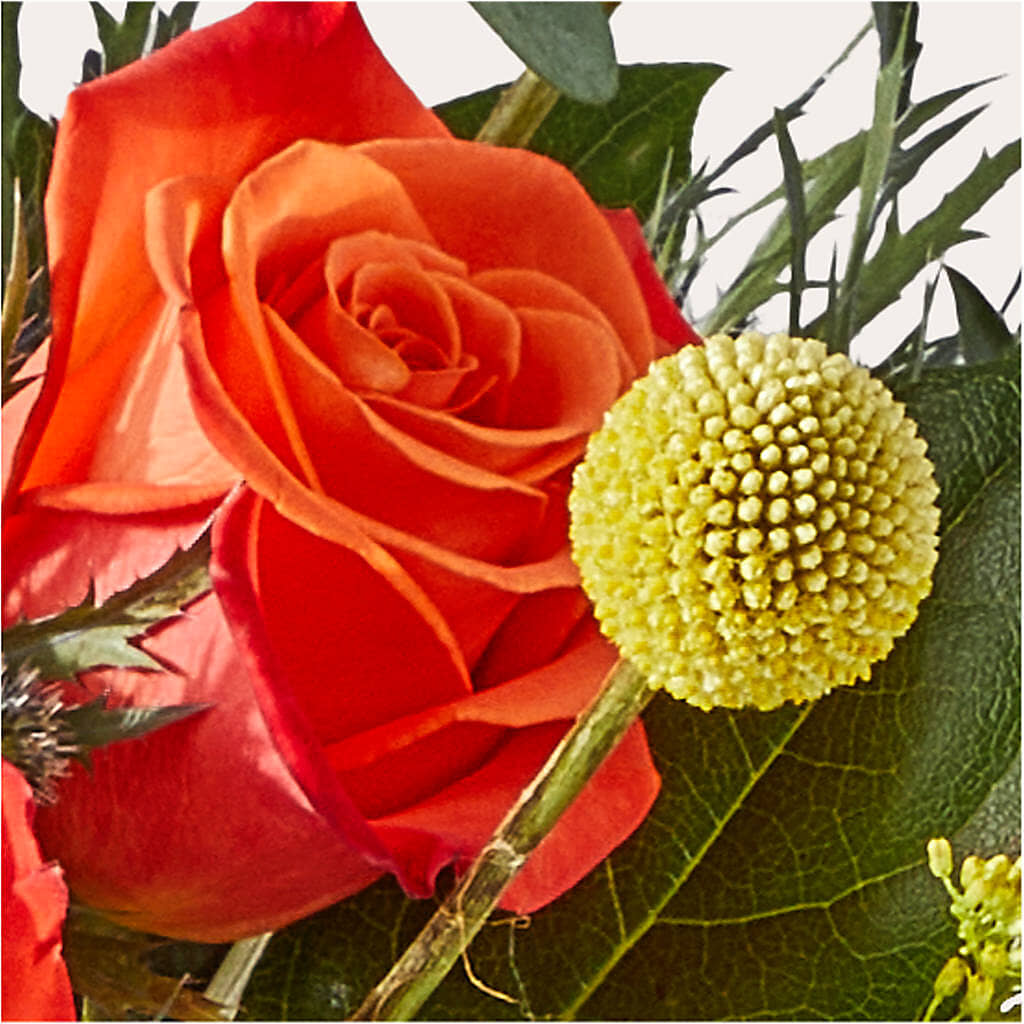 Disco Bouquet –  Amour Flowers, Frederick MD