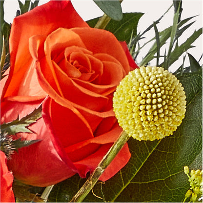 Disco Bouquet –  Amour Flowers, Frederick MD