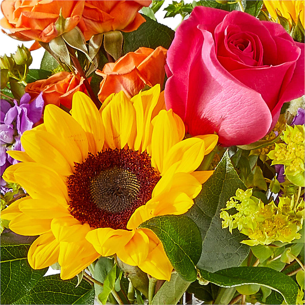 Vibrant Greetings Bouquet –  Amour Flowers, Frederick MD