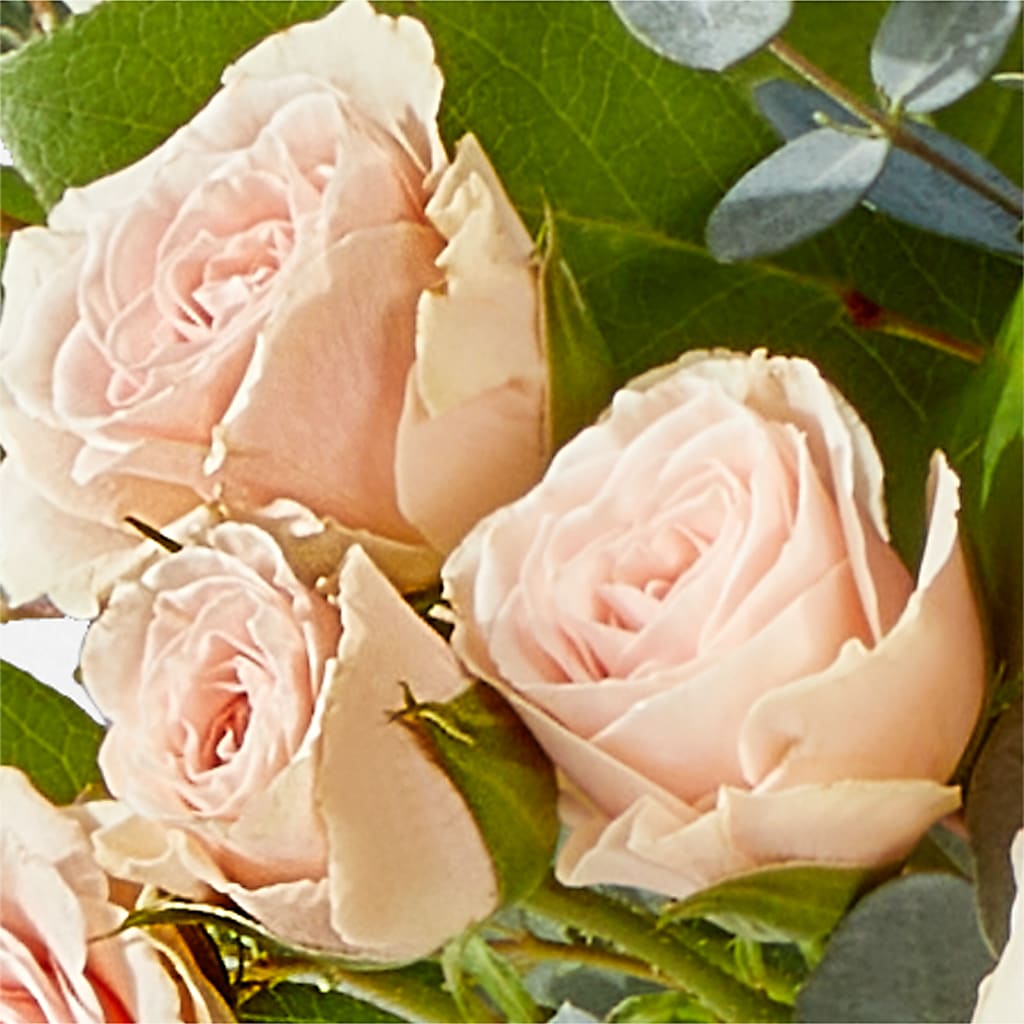 Inspired Bouquet –  Amour Flowers, Frederick MD