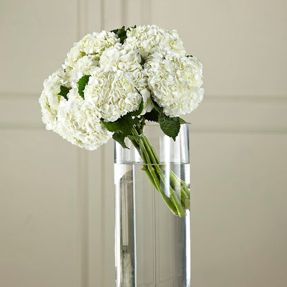 White Hydrangea Hand-Tied Bouquet –  Amour Flowers, Frederick MD