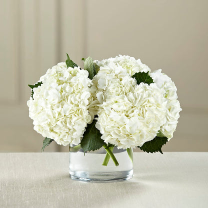 White Hydrangea Bouquet –  Amour Flowers, Frederick MD